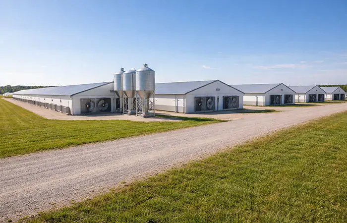 Großes modernes Gebäude einer Mastgeflügelfarm im Außenbereich