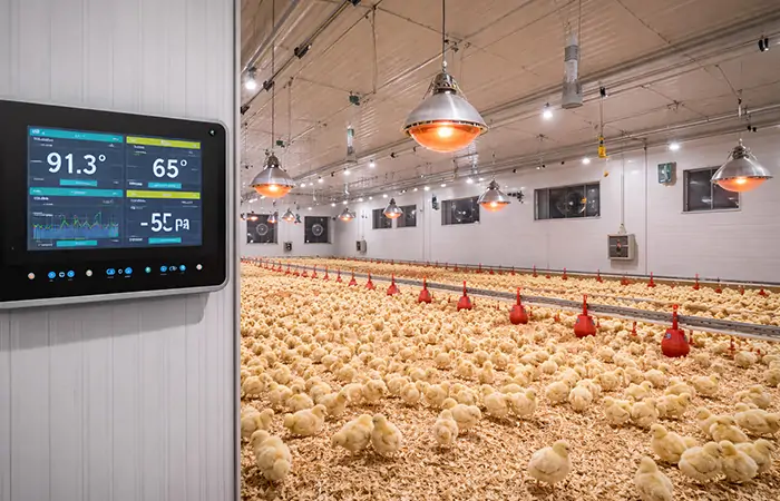 panel de control climático inteligente que gestiona la temperatura y la ventilación de la cría de aves de corral